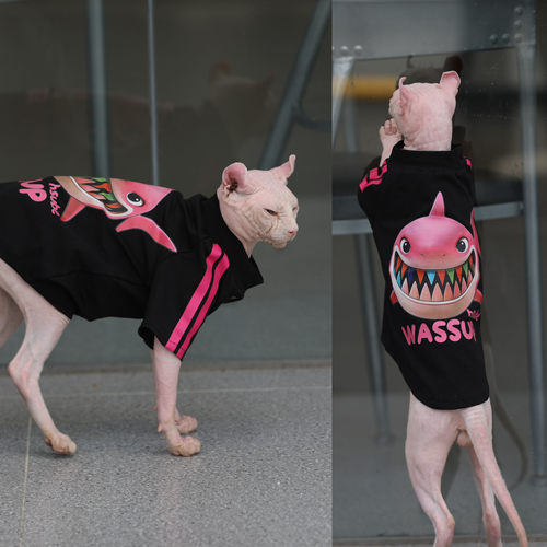无毛猫夏季纯棉鲨鱼条T恤  室内空调服 斯芬克斯德文矮脚猫咪衣服