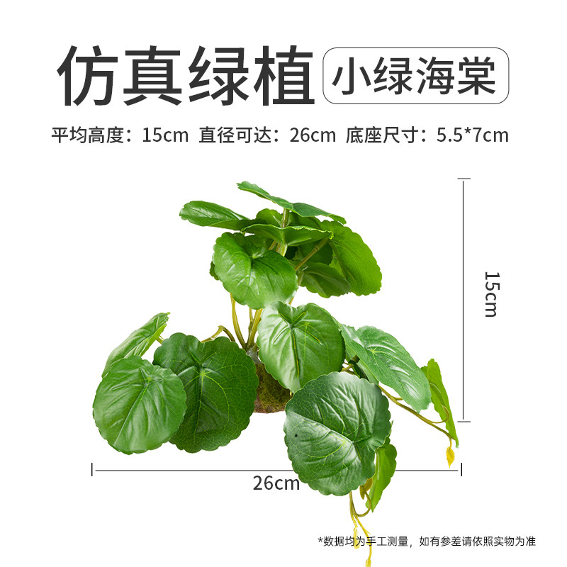 其鳞黄缘龟缸雨林造景躲避图片