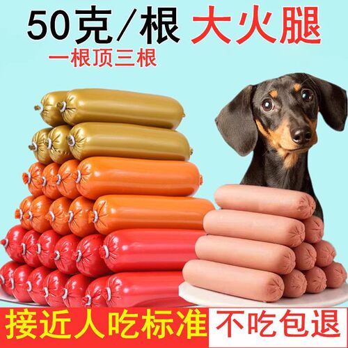 狗狗火腿肠零食幼犬三个月金毛