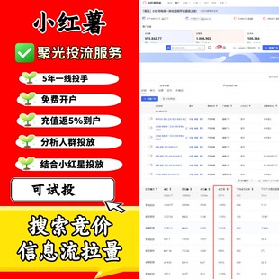 【代下载聚光关键词表】小红书付费投流聚光投放 代查关键词出价