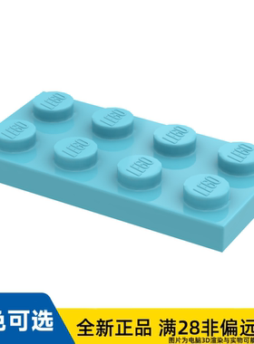 LEGO乐高正品零件2X4/3020/4655256/6013826