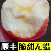 烟台红富士苹果不打蜡山东栖霞新鲜孕妇吃的水果一级脆甜整箱顺丰