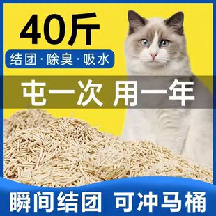 豆腐猫砂无尘不粘底不结块快速吸水除臭散香清洁宠物猫狗专用批