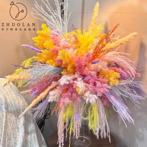 白日焰火花束手工diy材料龙须草蓬莱松干花永生花圣诞氛围感配饰