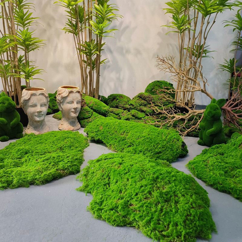 仿真石头草坪苔藓草皮庭院玄关造景青苔微景观绿植墙商场绿色森系图片