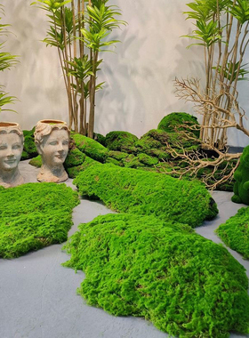 仿真石头草坪苔藓草皮庭院玄关造景青苔微景观绿植墙商场绿色森系