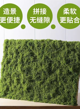 仿真绿植墙青苔藓大灰藓白发藓青苔草坪盆景草坪场景橱窗软装苔藓