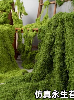 仿真苔藓造景人造植物丝状青苔摆放玄关遮挡阳台草坪室内绿植装饰