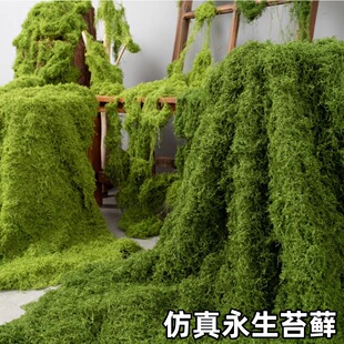 仿真苔藓造景人造植物丝状青苔摆放玄关遮挡阳台草坪室内绿植装饰