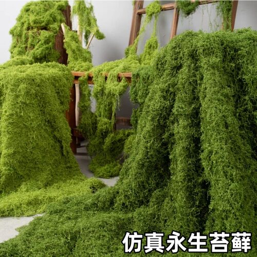 仿真苔藓造景人造植物丝状青苔摆放玄关遮挡阳台草坪室内绿植装饰