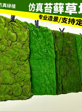 仿真苔藓草坪仿生人造景观盆景造景装饰布置草皮青苔植物盆栽铺面