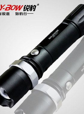 正品锐豹变焦强光自行车灯防水充电手电LED户外骑行手电筒RB-001