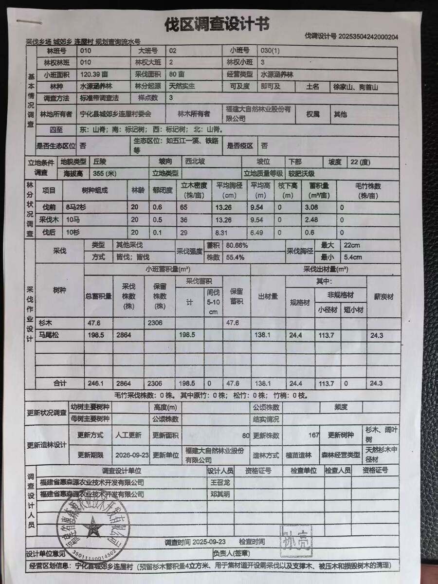 宁化县城郊镇连屋村林木