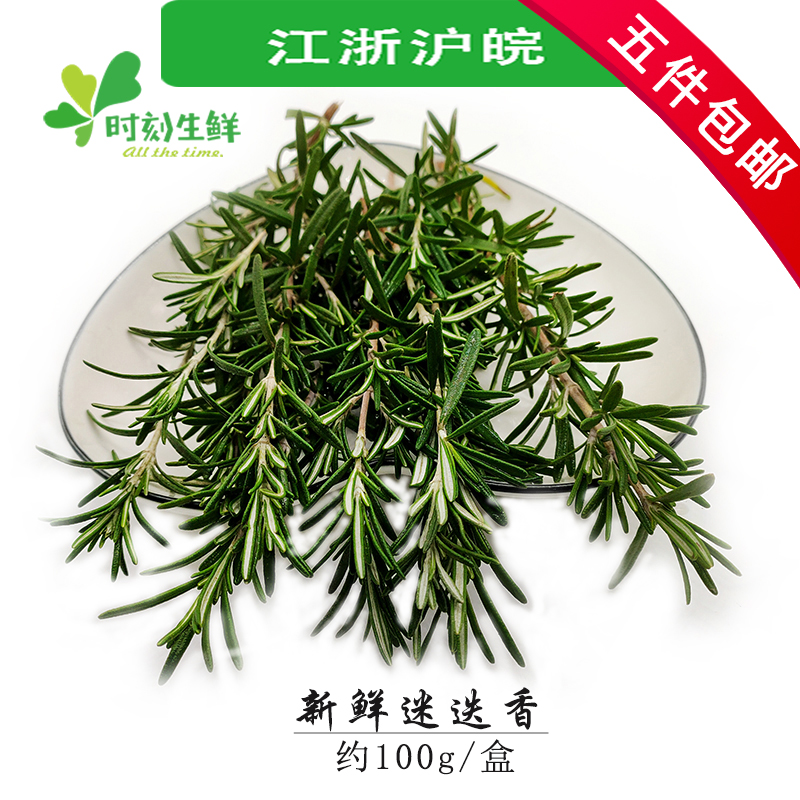 提神醒脑匍匐食用新鲜迷迭香
