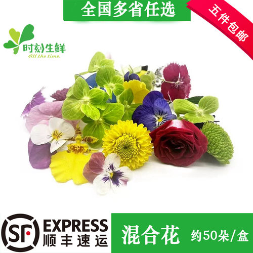 新鲜混合花 三色堇 绣球 多色菊花 酒店西餐花草摆盘日料装饰点缀