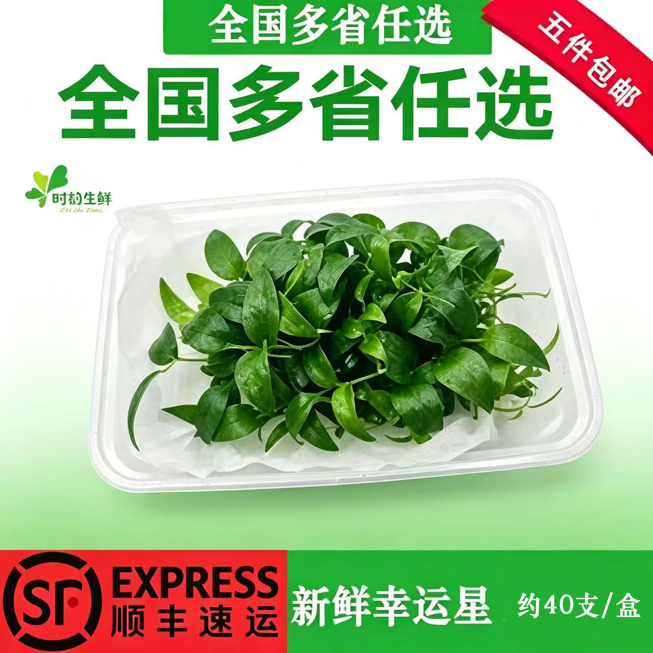 新鲜幸运星约40片/盒 阔叶舞竹 幸运草酒店西餐餐饮摆盘花草点缀