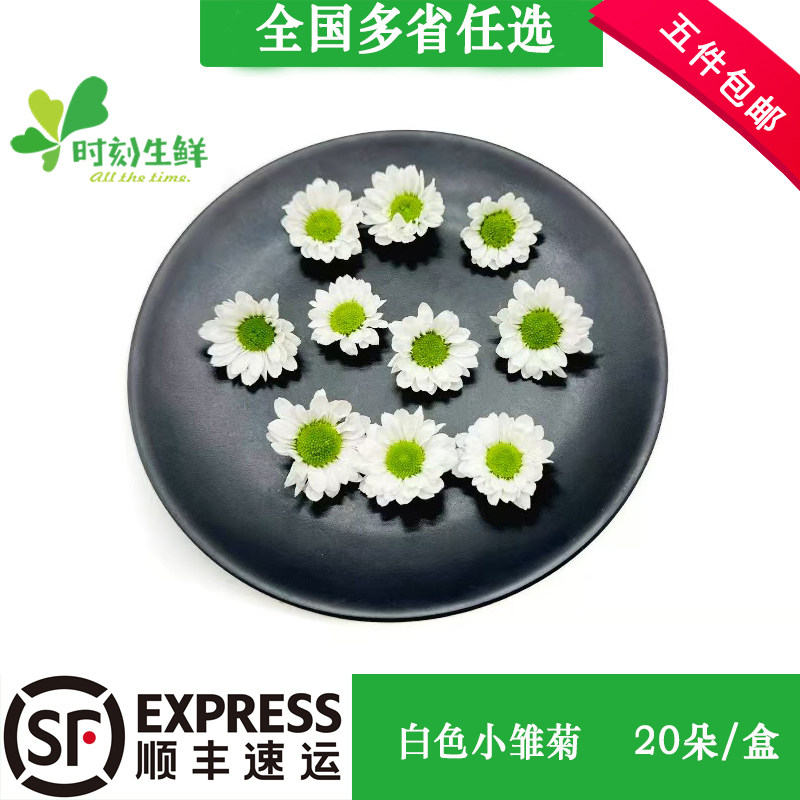 新鲜绿心白色小雏菊 白彩菊 西餐酒店摆盘烘焙饮品点缀装饰鲜花草