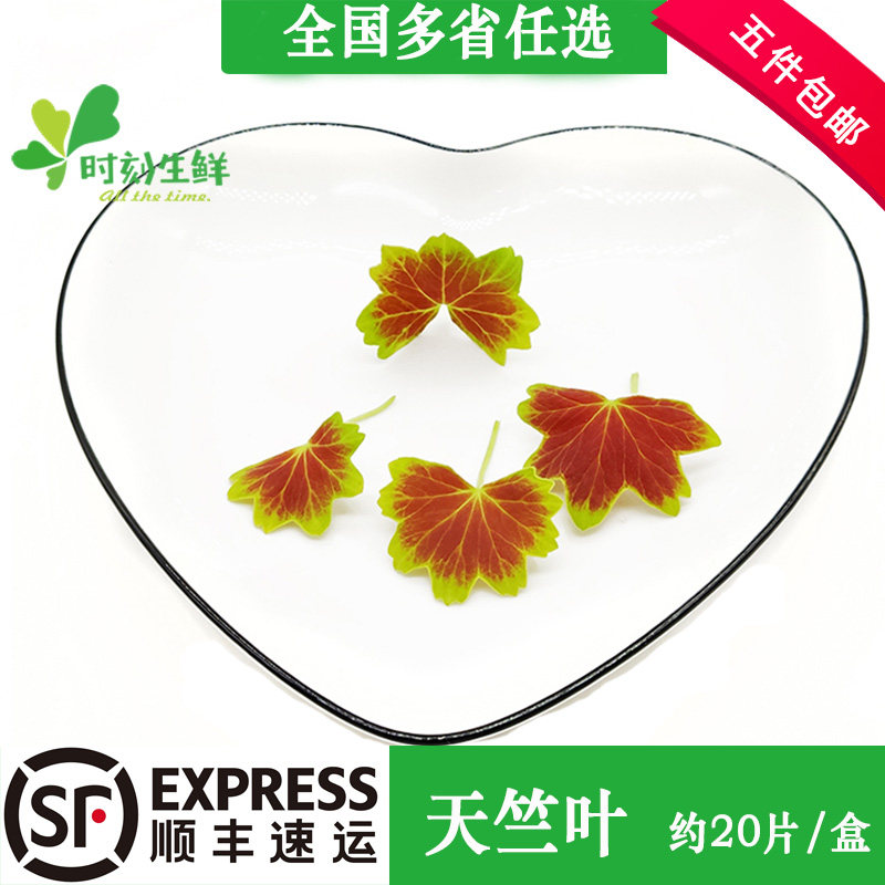 天竺新鲜叶非温哥华西餐摆盘装饰