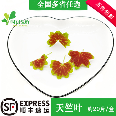 天竺新鲜叶非温哥华西餐摆盘装饰