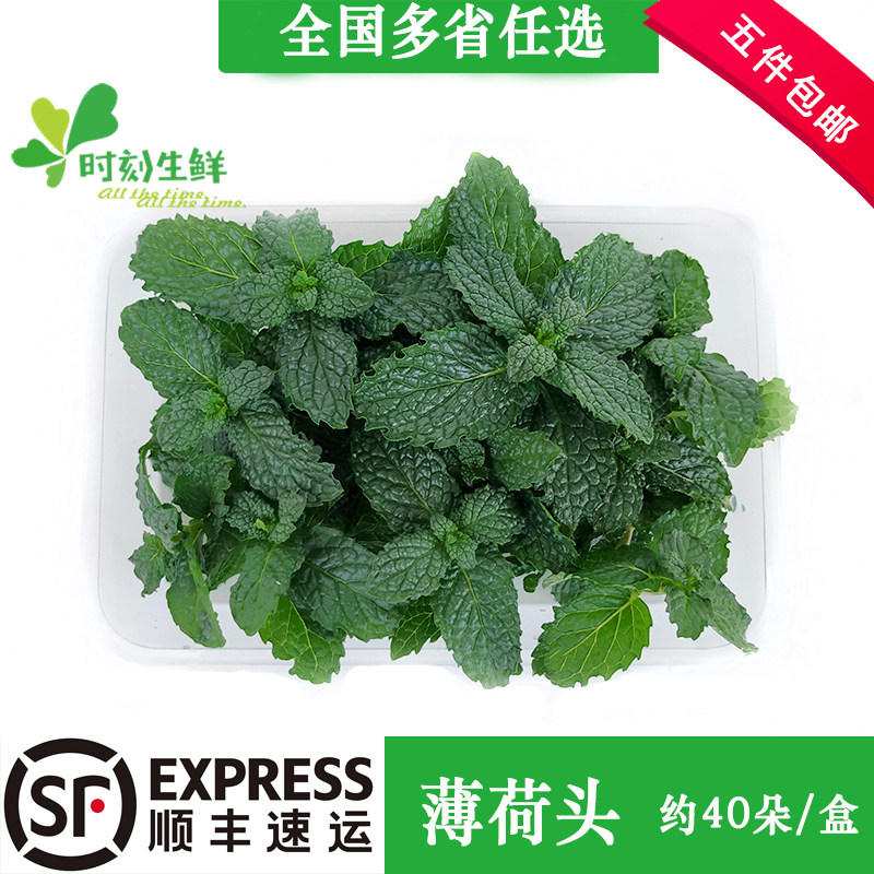 新鲜薄荷叶约40朵可食用薄荷头薄荷芽酒店西餐调酒蛋糕装饰点缀,水产肉类/新鲜蔬果/熟食,其它,淘宝优惠券,粉丝福利购,淘宝优惠卷