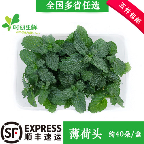 40朵可食用调酒蛋糕新鲜薄荷叶