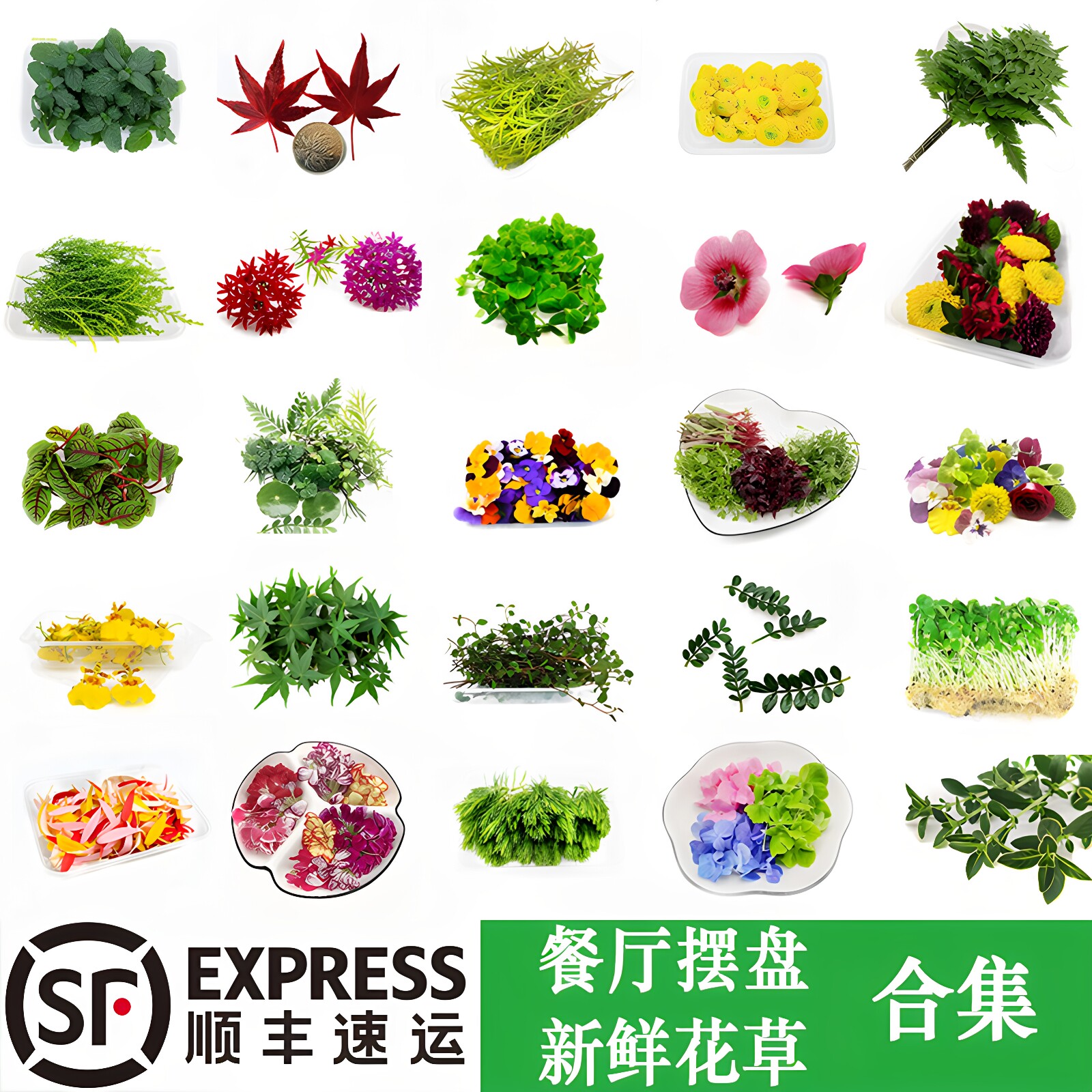 新鲜三色堇清香木黄金柳芽摆盘花
