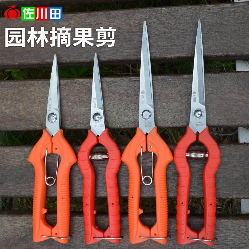 园艺修剪枝采果剪摘果剪花椒剪枸杞采摘工具果蔬剪刀花剪
