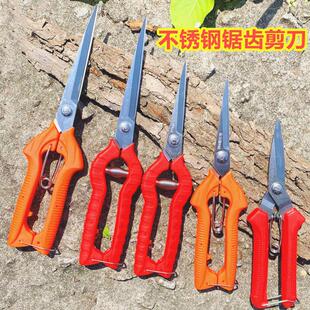 912加长修枝剪不锈钢家用葡萄花卉采果蔬果剪柑橘花椒剪刀