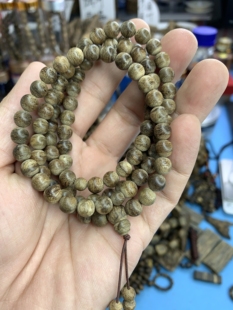 正区文莱07多圈17.6克支持权威国检