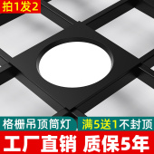 网格栅吊顶专用灯葡萄架灯方形筒灯斗胆射灯 led格栅灯15x15嵌入式