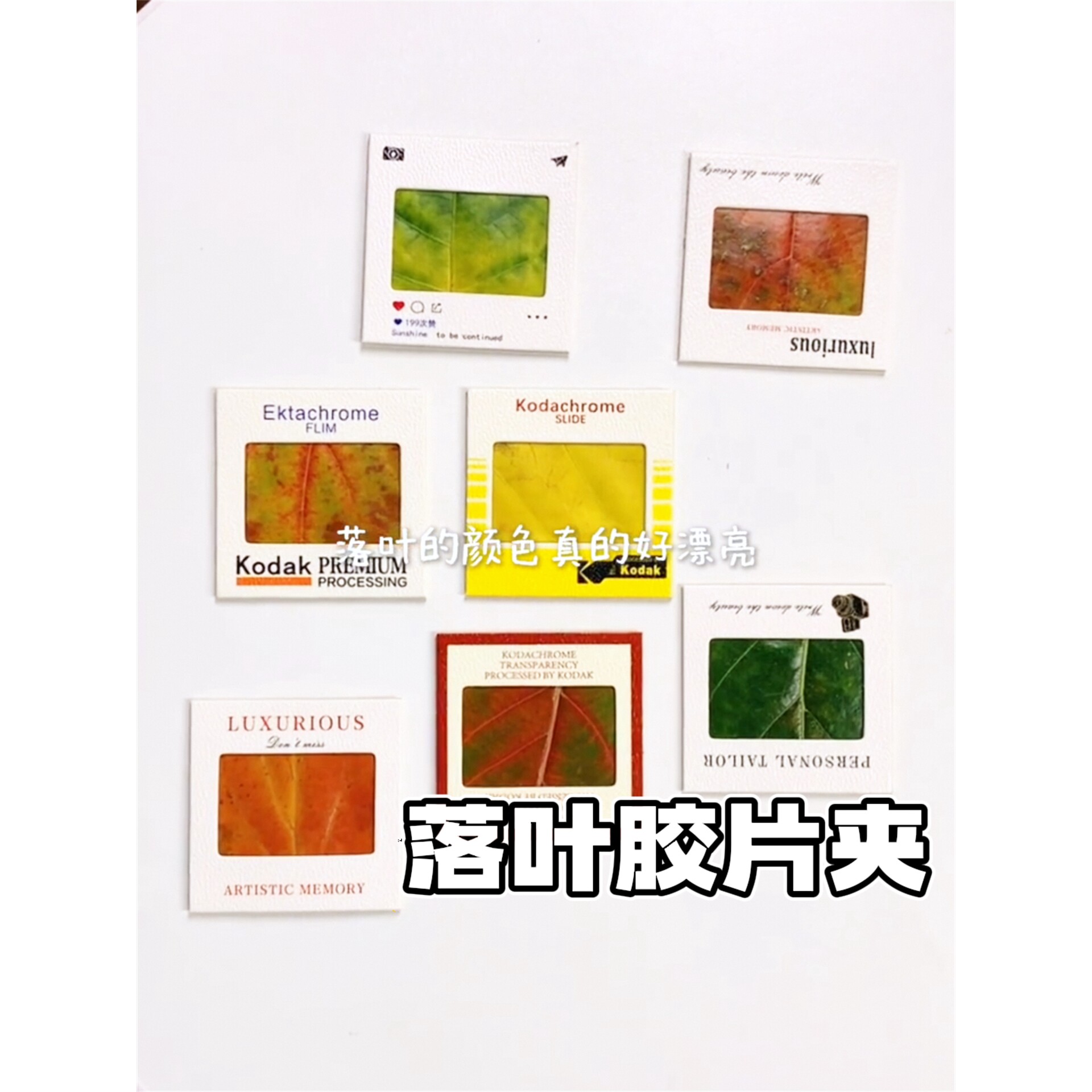 落叶胶片夹手工diy材料创意书签贺卡小礼物自带背胶反转胶片框