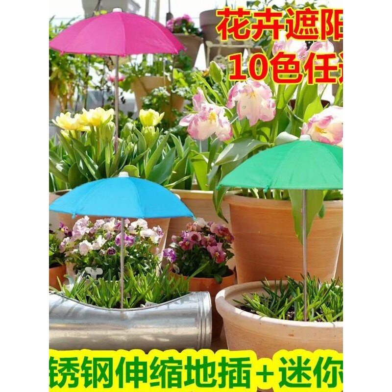 花盆遮阳罩植物花卉防晒伞多肉盆景盆栽遮阳伞防雨伞户外不锈钢