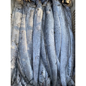 青岛小眼油带鱼油脂丰富 真空包装 好吃香嫩 可帮收拾去头去尾