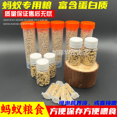 蚂蚁食物高蛋白质蚁粮