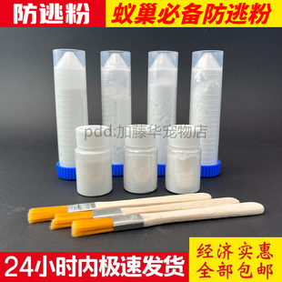 蚂蚁防逃液防逃粉10000目弓背蚁收获蚁巨首蚁猛蚁铺道蚁蚂蚁工坊