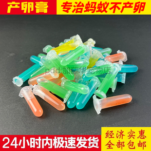 蚂蚁产卵膏蚂蚁食物蚂蚁新手蚂蚁工坊弓背蚁收获蚁高蛋白蚁巢包邮