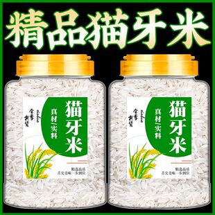 猫牙米超长粒香米官方旗舰店正宗广西2025年新大米虾田米丝苗大米