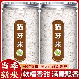 猫牙米长粒香米官方旗舰店2025正宗的新大米10斤广西虾田米丝苗米