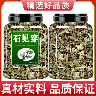 石见穿中药材500g非野生月下红石打穿石见川石大川五凤花新货泡水