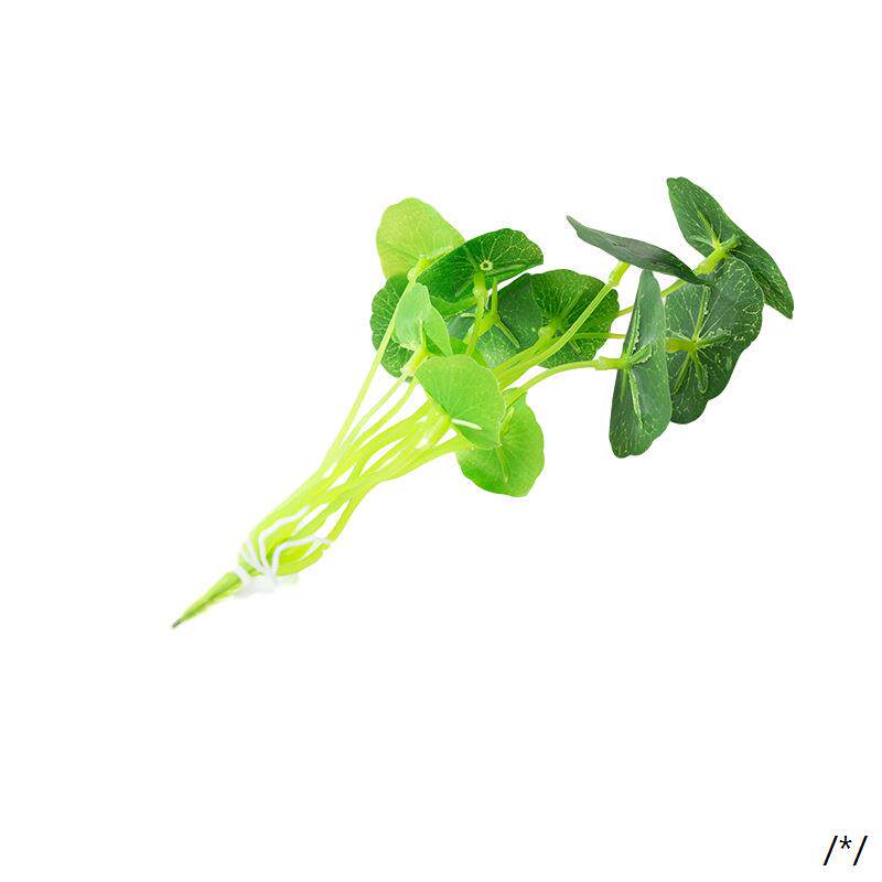 仿真水培假花铜钱草小荷