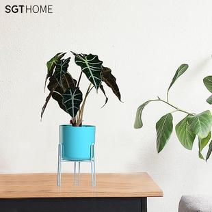 饰置物架子铁艺客厅简约花盆植物挂架绿萝 花架北欧室内家用阳台装