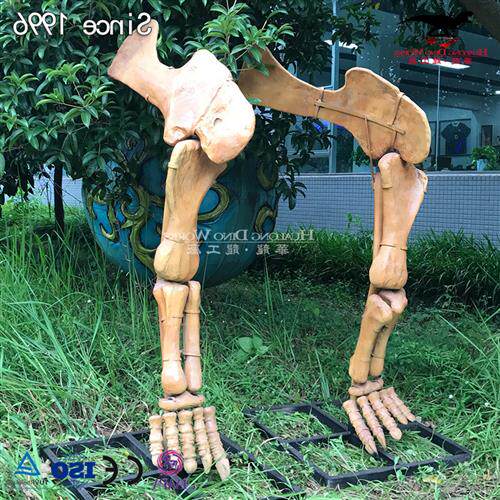 化石骨架恐龙脚模型仿真化石博物馆科技馆展览自贡恐龙厂家制作