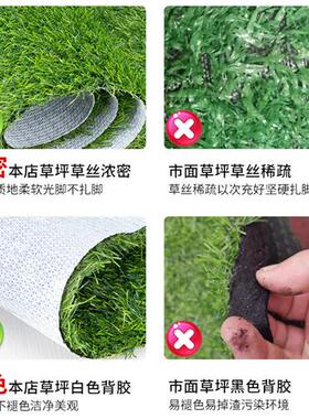 人造仿真草坪TPR橡胶白底室内地毯桌面假草皮外贸可裁剪尺寸