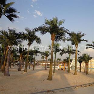 新款仿真椰子树抗紫外线抗风室内外椰子树大王椰人造大树厂家