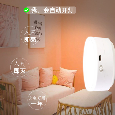 感应LED衣柜楼道声控小夜灯