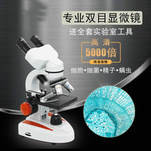 微型电子显微镜2000螨虫10000手机1