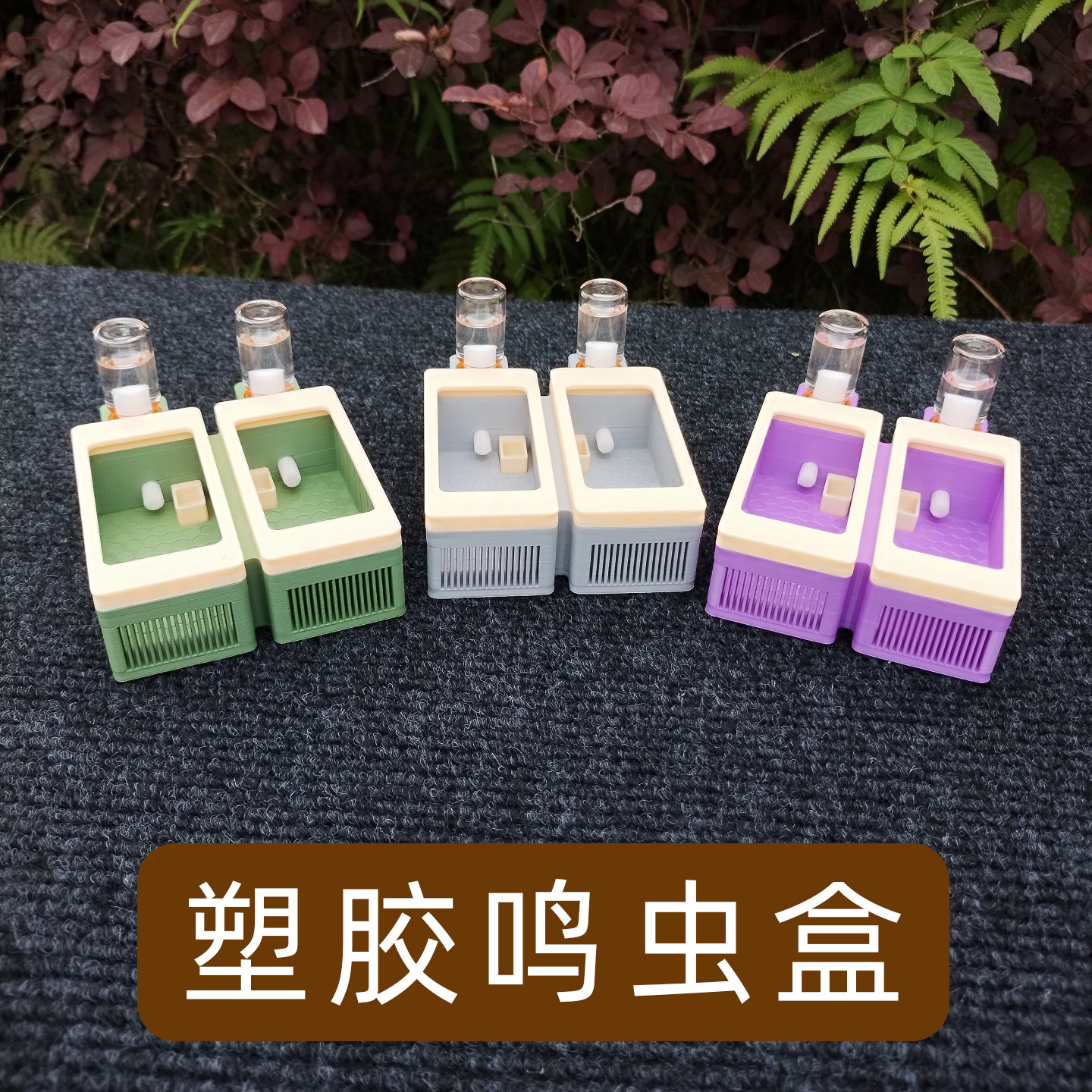 双格鸣虫盒大空间竹蛉盒黄蛉虫具