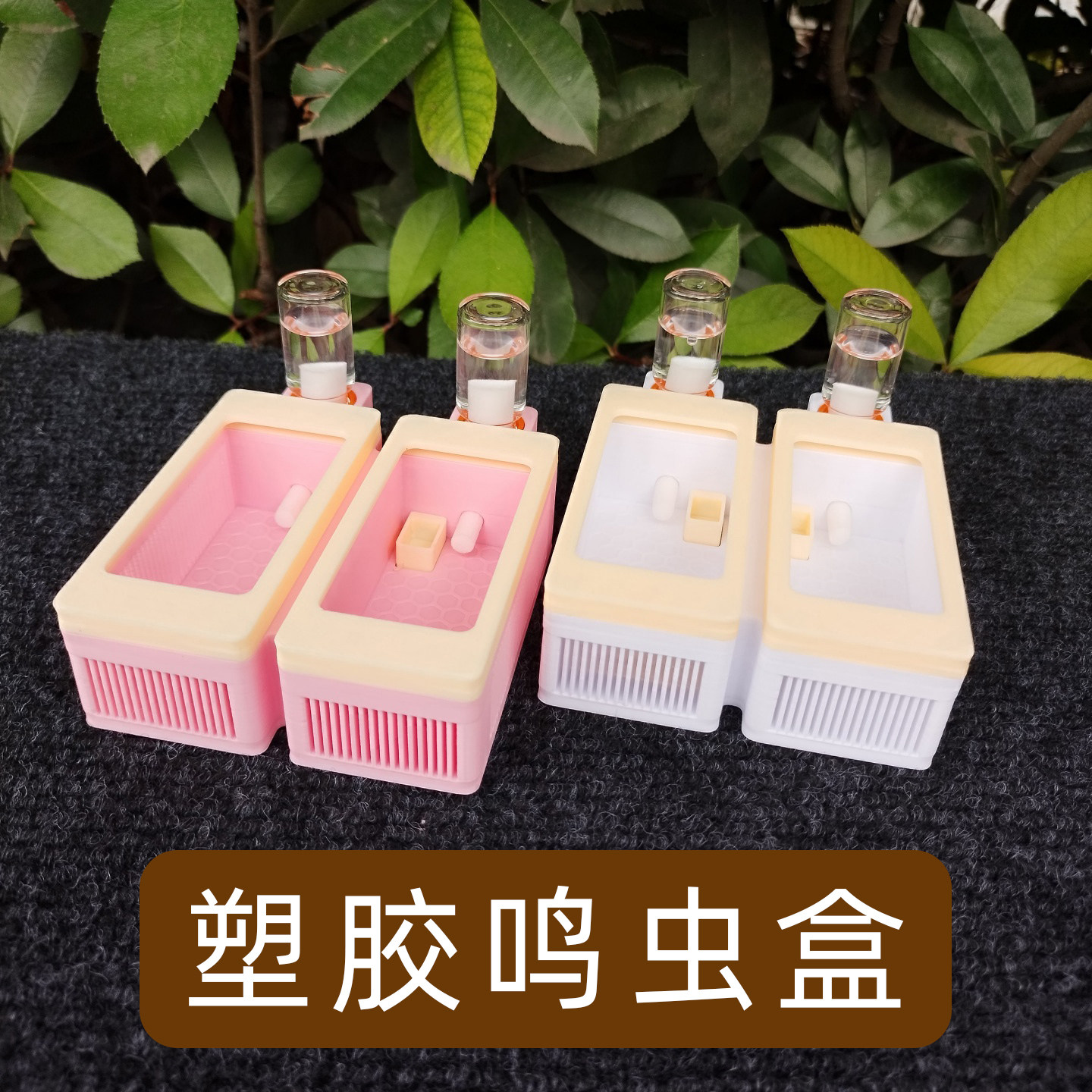 新款2格鸣虫饲养盒塑料大黄蛉盒竹蛉虫具蛉子蛉虫盒加湿器保湿