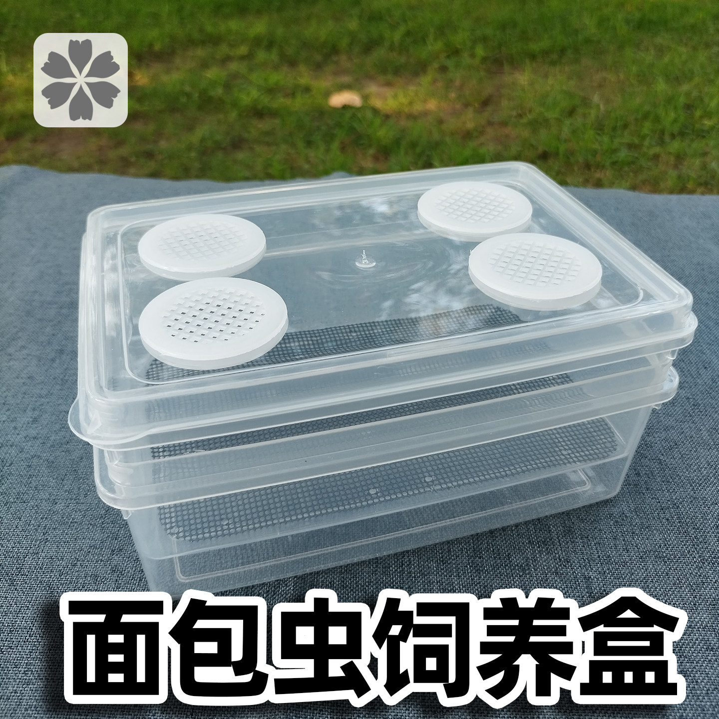 面包虫滤屎饲养箱防臭防潮