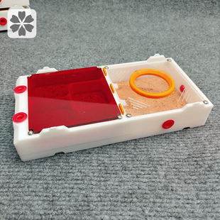 蚂蚁巢平面石膏巢介质保湿 大活动区3个巢室 新手巢新后小群巢